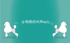 小狗崽的叫声mp3