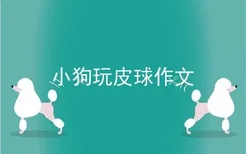 小狗玩皮球作文