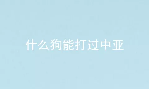 什么狗能打过中亚