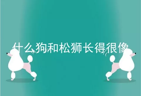 什么狗和松狮长得很像