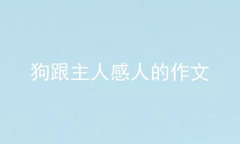 狗跟主人感人的作文