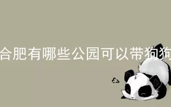 合肥有哪些公园可以带狗狗