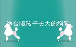 适合陪孩子长大的狗狗