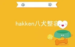 hakken八犬整容