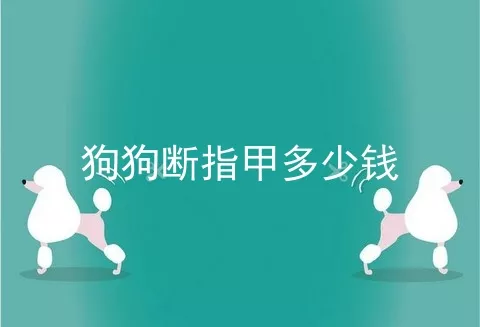 狗狗断指甲多少钱