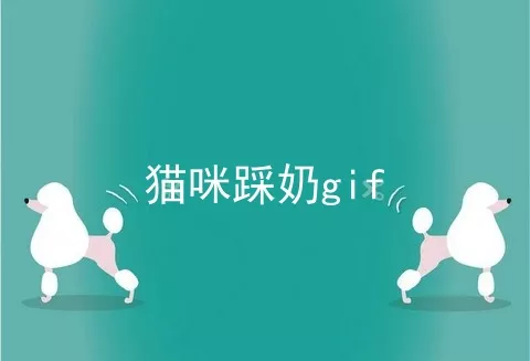 猫咪踩奶gif