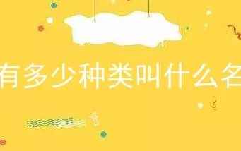 狗有多少种类叫什么名字