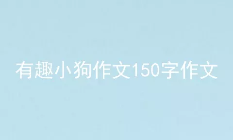 有趣小狗作文150字作文