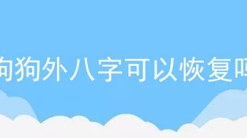 狗狗外八字可以恢复吗