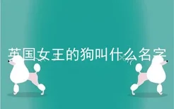 英国女王的狗叫什么名字