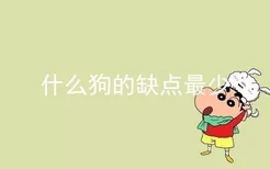 什么狗的缺点最少