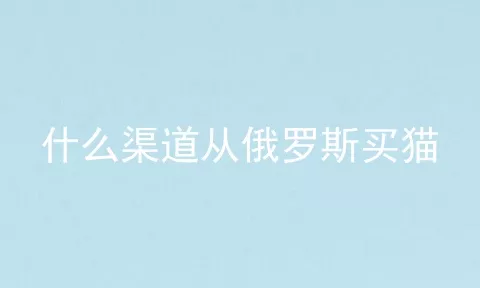 什么渠道从俄罗斯买猫