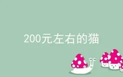 200元左右的猫