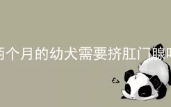 两个月的幼犬需要挤肛门腺吗