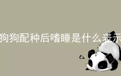 狗狗配种后嗜睡是什么表示