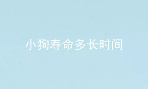 小狗寿命多长时间