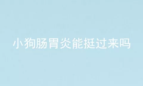 小狗肠胃炎能挺过来吗