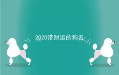 2020带财运的狗名