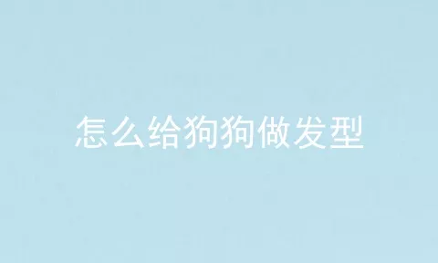 怎么给狗狗做发型