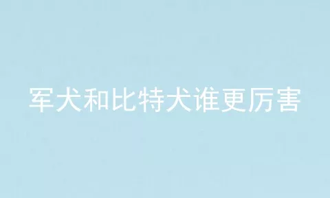 军犬和比特犬谁更厉害