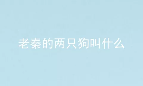 老秦的两只狗叫什么