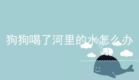 狗狗喝了河里的水怎么办