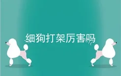 细狗打架厉害吗