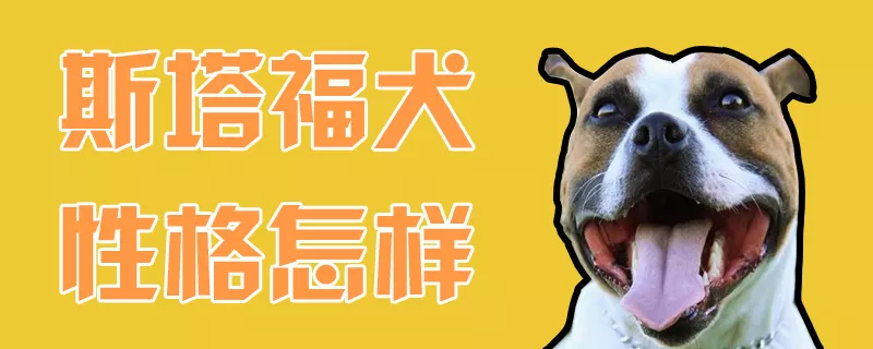 斯塔福犬性格怎样