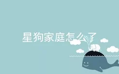 星狗家庭怎么了