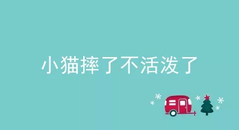 小猫摔了不活泼了