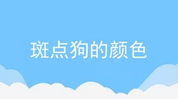 斑点狗的颜色