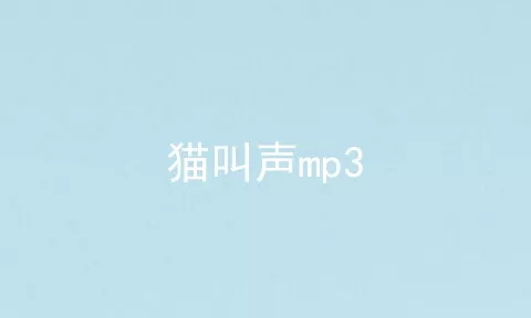 猫叫声mp3