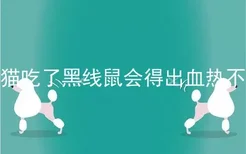 猫吃了黑线鼠会得出血热不