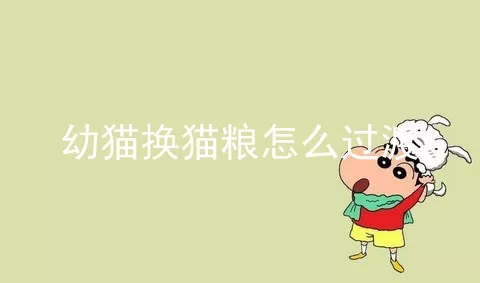 幼猫换猫粮怎么过渡