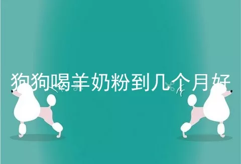 狗狗喝羊奶粉到几个月好