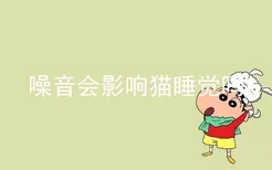 噪音会影响猫睡觉吗