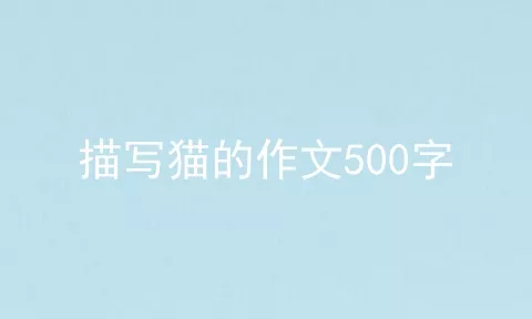 描写猫的作文500字