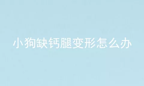 小狗缺钙腿变形怎么办