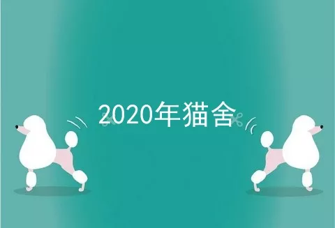 2020年猫舍