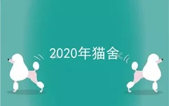 2020年猫舍