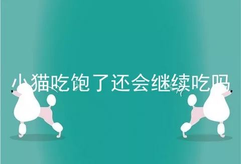 小猫吃饱了还会继续吃吗