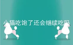 小猫吃饱了还会继续吃吗