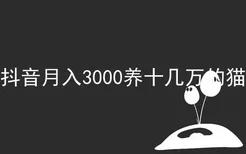 抖音月入3000养十几万的猫