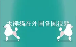 大熊猫在外国各国视频