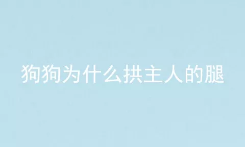 狗狗为什么拱主人的腿