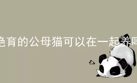 绝育的公母猫可以在一起养吗