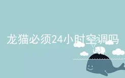 龙猫必须24小时空调吗