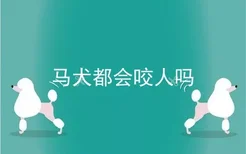 马犬都会咬人吗