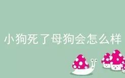 小狗死了母狗会怎么样