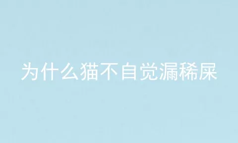 为什么猫不自觉漏稀屎